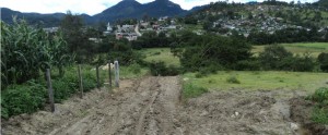 Se prevé desabasto alimenticio por la perdida de cosechas, Tlaxiaco